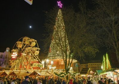 Der Bonner Weihnachtsbaum ist aus allen Perspektiven ein Hingucker
