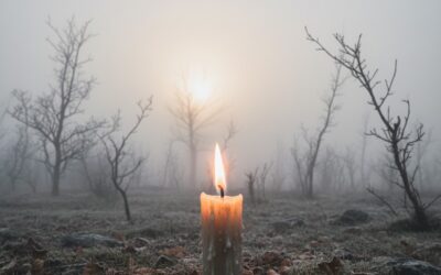 9. November – geschichtsträchtig