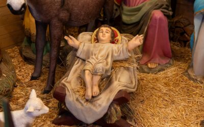 Bonner Stadtkrippe schon gesehen?